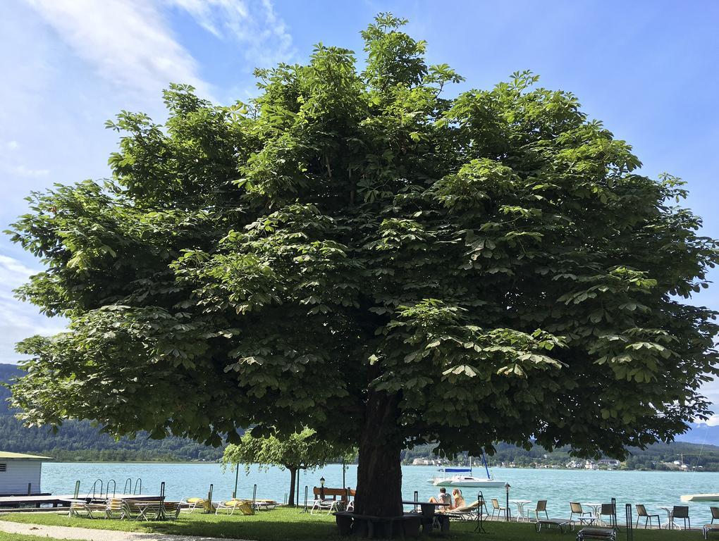 Strandhotel Kaerntnerhof Pörtschach am Wörthersee Esterno foto